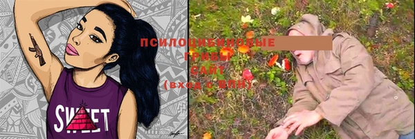 хмурый Бронницы