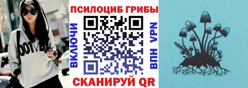 Псилоцибиновые грибы Psilocybe  Урень 