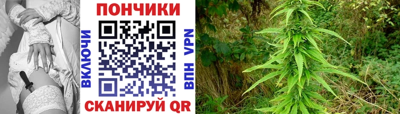 Каннабис SATIVA & INDICA Урень